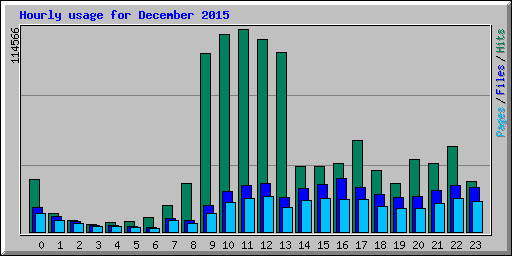Hourly usage for December 2015