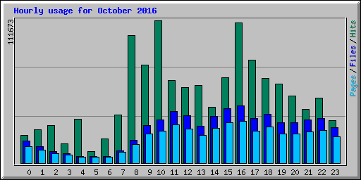Hourly usage for October 2016